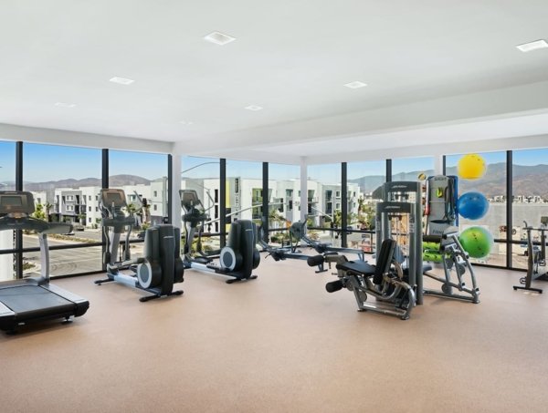 photo of the exercise room with elipticals and treadmills